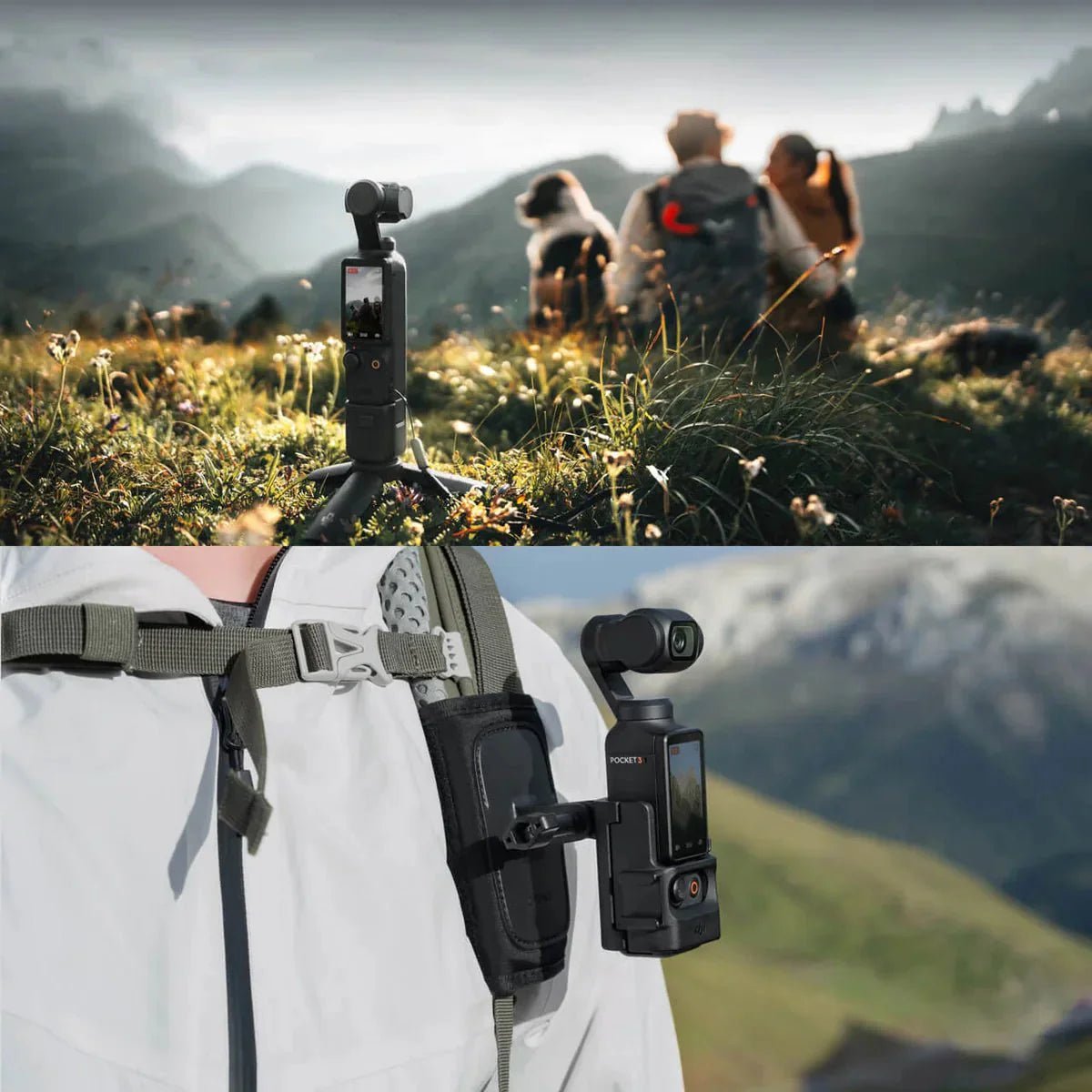 Osmo Pocket y DJI Osmo Pocket 3: La guía completa para elegir la mejor cámara portátil en 2026 - DEXIN
