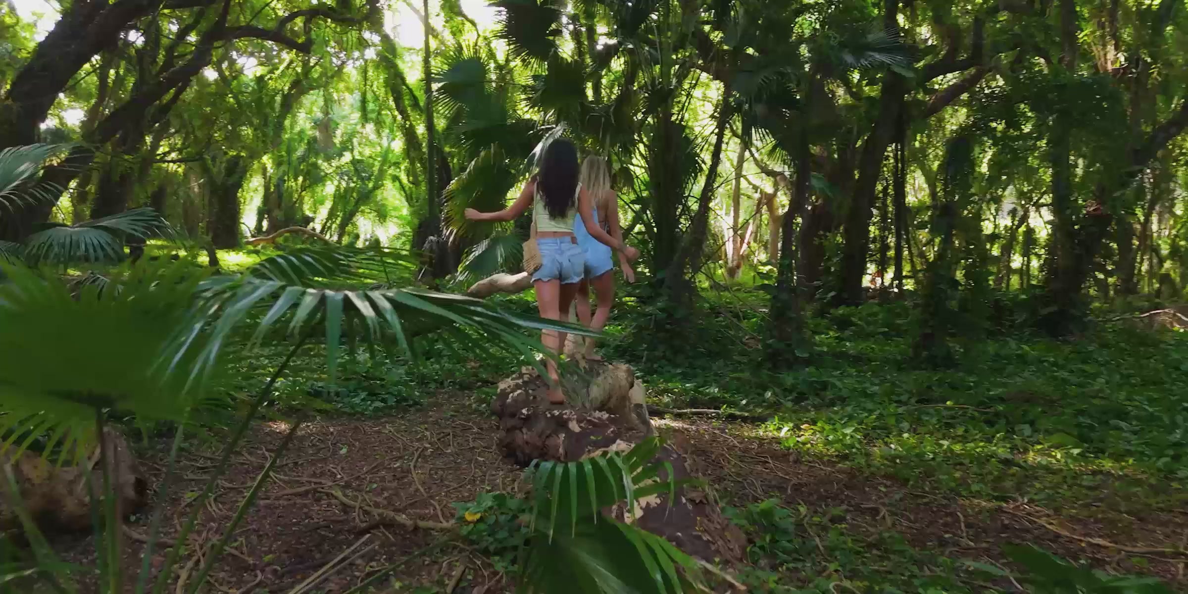 Cargar video: 